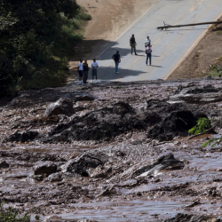 Бразилиядагы селден улам 46 адам каза болду