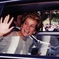 Ханзаада Гарри башкарган канайымдын автоунаасы аукционго коюлду