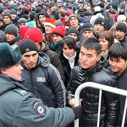 Жумушсуздар үчүн жөлөк пулду 123 киши алат, анын суммасы канча?