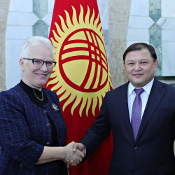 Дастанбек Жумабеков Швеция парламентинин төрагасынын биринчи орун басары Аса Линдестам менен жолугушту