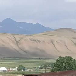 Чүй, Ош, Жалал-Абад, Нарын облустарындагы калктуу конуштар айыл категориясына которулабы?