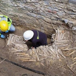 ФОТО - В Бельгии обнаружили стены из человеческих черепов и костей