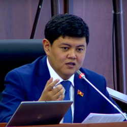 ВИДЕО-ЖК депутаты: Силер велосипед ойлоп чыкпай эле, Казакстан, Беларуссияга шайкеш кылып койгулачы