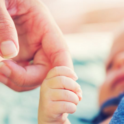 5 миң 600 баланы ата-энеси туугандык байланышы жок бөтөн адамдарга таштап кеткен