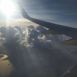 Се ля ви! Америкалыктар жерге учак конгондо эмне үчүн кол чабышат?