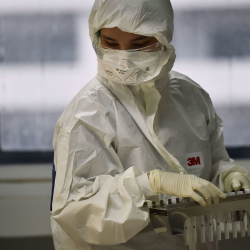 Франция коронавирус жуктурган бардык жарандарын айыктырды