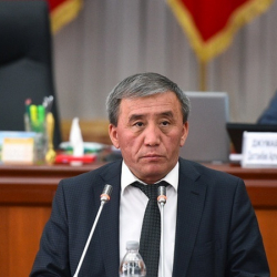 Айыл чарба министри көп жылдык чөптөрдүн аянтын көбөйтүүнү сунуштады