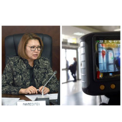 Карантин: Бишкекке Италиядан учуп келген эки жаран боюнча тапшырма берилди