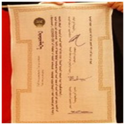 ВИДЕО- Президент коронавируска курмандык кылуу үчүн Кытайга  30 миң кой берди