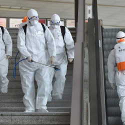 Южная Корея объявила высший уровень угрозы из-за коронавируса