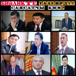 Бийликтин таасири барбы: Болсо ким таасирдүү?