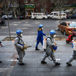 Коронавирус барбы же жокпу? Россиянын илим изилдөөчүлөрү жооп беришти