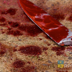 Бишкектин тургуну аялы менен баласын бычактап, өзүнө кол салды