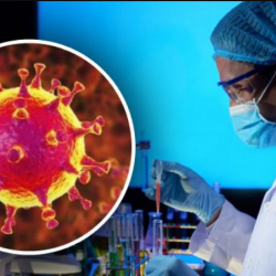 Стамбулдан учуп келген кыргыз жаранынын коронавируска алынган анализдердин жыйынтыгы чыкты