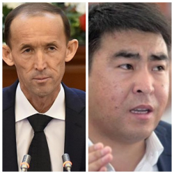 Журналист Арстанбекова, Нурбаев менен Акаевдин абийирин төктү