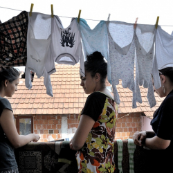 Абсолютно толерантный организм — мёртвый организм труп