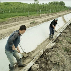 Кубатбек Боронов: Суу көлөмүнүн аздыгына байланыштуу сугат суусу каат болду