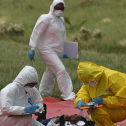 Коронавирус. Кыргыз-өзбек тарап дартка каршы бирге күрөшөт