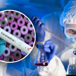 Вирус жакын арада алсыздана тургандыгын окумуштуулар аныктады