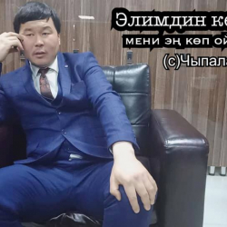 Чыпалак баатыр: Мен ушу улуу президентиңер силерге улуу тапшырма берип атам