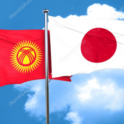 Кыргызстанга Япония коронавирусту аныктоочу каражаттарды жөнөттү