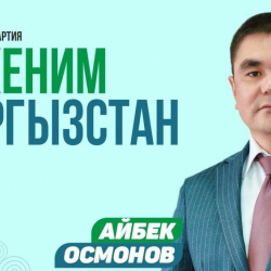 «Мекеним Кыргызстан» партиясы коронавируска каршы күрөшүүдө жергиликтүү бийликке жардам берүүгө даяр