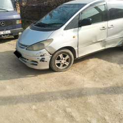 Жол кырсыгын жаратып, окуя болгон жерден качкан шектүү жаран кармалды