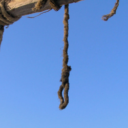 Индияда кыз зордуктагандар дарга асылды