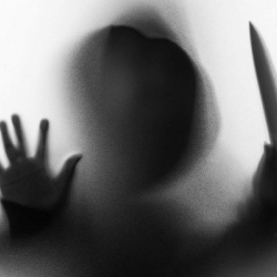 48 жаштагы киши энесин бычак сайып өлтүрдү