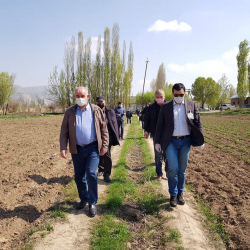 СҮРӨТ-Өзгөндө  жазгы талаачылык иштери карантиндик талаптарды сактоо менен жүргүзүлдү