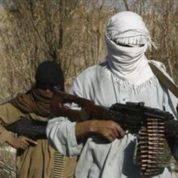 Талибы ведут переговоры об обмене пленниками