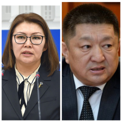 Коопсуздук кеңеши: Өмүрбекова менен Чолпонбаев бир катар каталарга жол берген