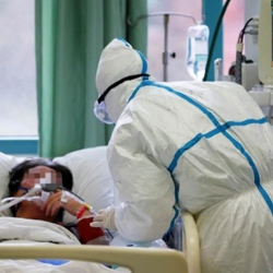 Света Тойгонбаева, төлгөчү: “Коронавирус, кыямат-кайымдын белгиси”