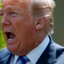 Трамп бет кап жана медициналык каражаттарды экспорттоого тыюу салды