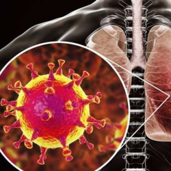 Саламаттыкты сактоо министрлиги 