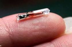 В Швеции все больше людей вживляют себе под кожу чип