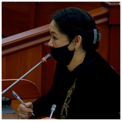 Депутат Жылдыз Мусабекова Түркиядан келе албай жаткан жарандар тууралуу маселени көтөрүп чыкты