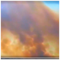 ВИДЕО -  Чернобылдагы өрттүн жайылышы тогузунчу күнгө жетти