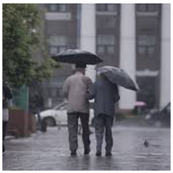 Сел жүрүшү мүмкүн. ӨКМ шашылыш билидирүү таратты