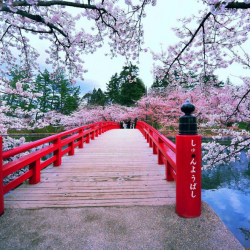 Жапонияда жалпы өлкө боюнча өзгөчө абал жарыяланды