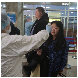 Стамбулдан учуп келген 212 жаран кайсы жерге обсервацияга жаткырылары айтылды