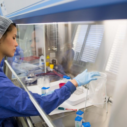 17-апрелге карата коронавирус аныкталгандардын көбү Бишкек шаарынан катталды