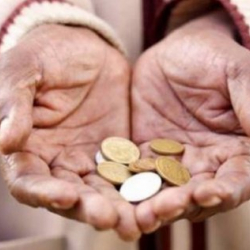 Муфтият битир-садаганын 2020-жылдагы баасын бекитти