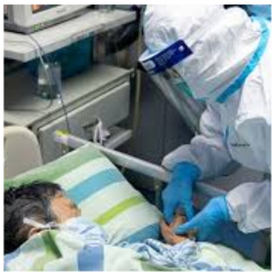 19-апрелге карата коронавирус аныкталгандардын көбү Нарын облусунан катталды