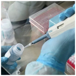 Түркиядан келген кыргыз жарандарынын айрымдарынан коронавирус чыкты