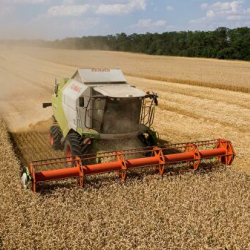 Ученые разработали тест-ферменты для проверки с/х земель на безопасность