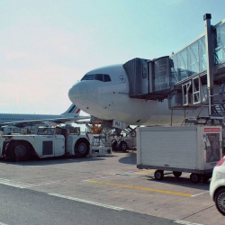 Президенттин жардамы менен Түркиядагы мекендештерибиз алып келинди