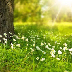 24-апрелге карата аба ырайы тууралуу маалымат