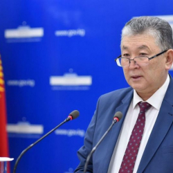 Кыргызстанда коронавирус туу чокусуна жеттиби? Министрликтин жообу