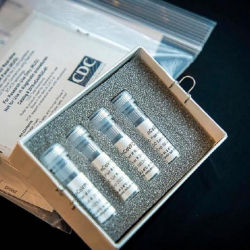 Ряд стран смягчают ограничения, связанные с пандемией